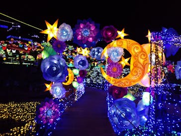 伊豆ぐらんぱる公園に投稿された画像（2021/12/5）