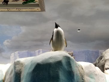 名古屋港水族館に投稿された画像（2021/12/5）