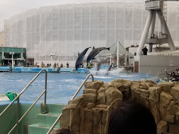 名古屋港水族館に投稿された画像（2021/12/5）