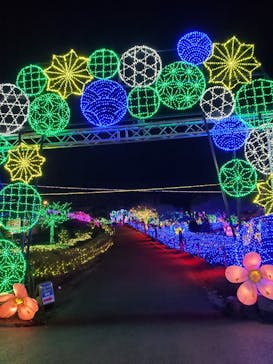 伊豆ぐらんぱる公園に投稿された画像（2021/12/5）