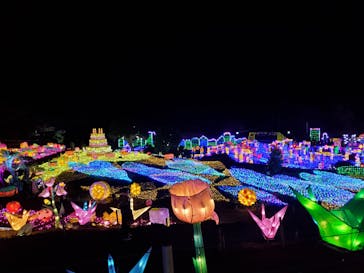 伊豆ぐらんぱる公園に投稿された画像（2021/12/5）