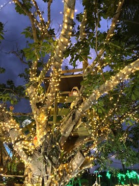 美らヤシパークオキナワ・東南植物楽園に投稿された画像（2021/12/5）