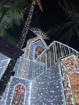 美らヤシパークオキナワ・東南植物楽園に投稿された画像（2021/12/5）