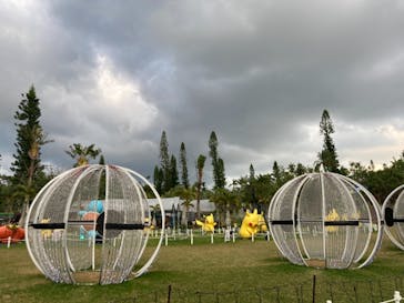 美らヤシパークオキナワ・東南植物楽園に投稿された画像（2021/12/5）