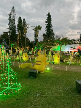 美らヤシパークオキナワ・東南植物楽園に投稿された画像（2021/12/5）