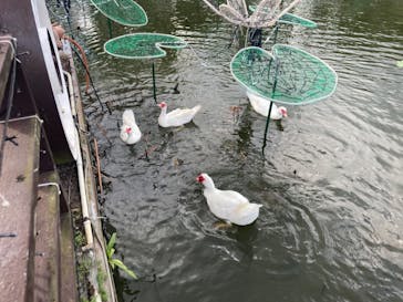 美らヤシパークオキナワ・東南植物楽園に投稿された画像（2021/12/5）