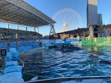 名古屋港水族館に投稿された画像（2021/12/5）