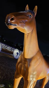 東京メガイルミに投稿された画像（2021/12/5）