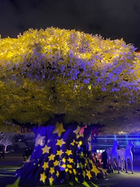 東京メガイルミに投稿された画像（2021/12/5）