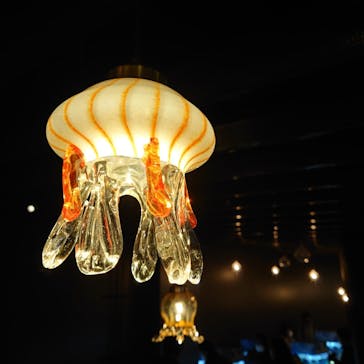 京都水族館に投稿された画像（2021/12/5）