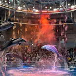 マクセル アクアパーク品川に投稿された画像（2021/12/5）