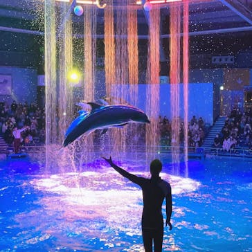 マクセル アクアパーク品川に投稿された画像（2021/12/5）