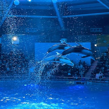 マクセル アクアパーク品川に投稿された画像（2021/12/5）