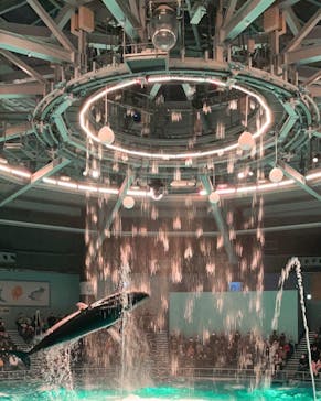 マクセル アクアパーク品川に投稿された画像（2021/12/5）