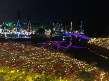 美らヤシパークオキナワ・東南植物楽園に投稿された画像（2021/12/5）