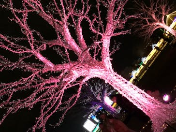 東京メガイルミに投稿された画像（2021/12/5）