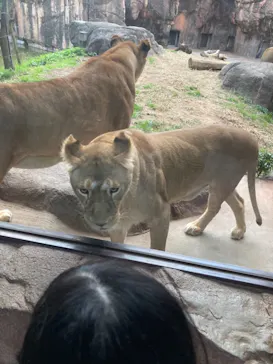 天王寺動物園に投稿された画像（2021/12/5）