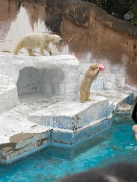 天王寺動物園に投稿された画像（2021/12/5）