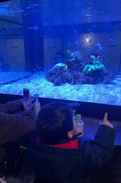 ゼロ距離水族館 伊勢シーパラダイスに投稿された画像（2021/12/5）