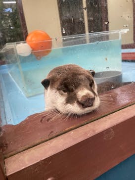 ゼロ距離水族館 伊勢シーパラダイスに投稿された画像（2021/12/5）