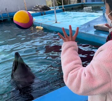 ゼロ距離水族館 伊勢シーパラダイスに投稿された画像（2021/12/5）