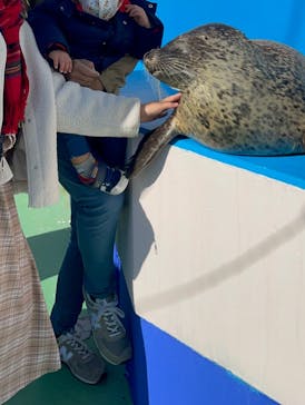 ゼロ距離水族館 伊勢シーパラダイスに投稿された画像（2021/12/5）