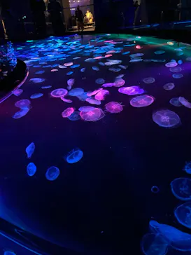 すみだ水族館に投稿された画像（2021/12/5）