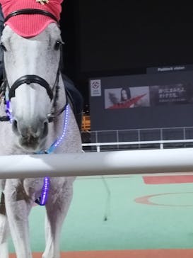 東京メガイルミに投稿された画像（2021/12/5）