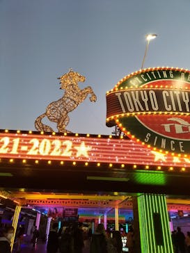 東京メガイルミに投稿された画像（2021/12/5）
