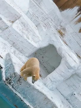 天王寺動物園に投稿された画像（2021/12/5）