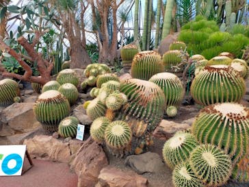 伊豆シャボテン動物公園に投稿された画像（2021/12/5）