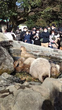 伊豆シャボテン動物公園に投稿された画像（2021/12/5）