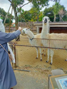 伊豆シャボテン動物公園に投稿された画像（2021/12/5）