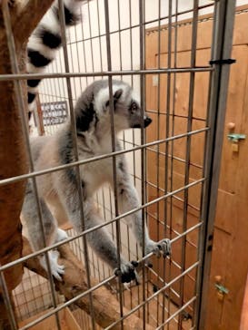 伊豆シャボテン動物公園に投稿された画像（2021/12/5）