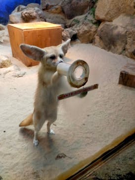 伊豆シャボテン動物公園に投稿された画像（2021/12/5）