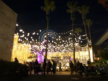 ひらかたパークに投稿された画像（2021/12/5）