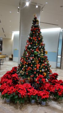 オーシャンスパ Fuuaに投稿された画像（2021/12/6）