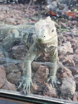 体感型動物園iZooに投稿された画像（2021/12/6）