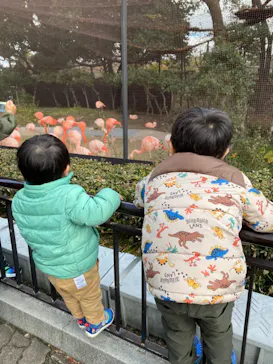 天王寺動物園に投稿された画像（2021/12/6）