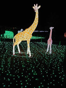 東武動物公園に投稿された画像（2021/12/6）