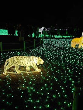 東武動物公園に投稿された画像（2021/12/6）