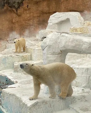 天王寺動物園に投稿された画像（2021/12/6）