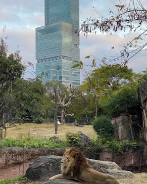 天王寺動物園に投稿された画像（2021/12/6）