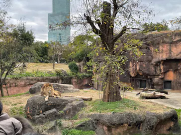 天王寺動物園に投稿された画像（2021/12/6）