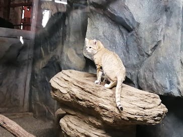 那須どうぶつ王国に投稿された画像（2021/12/6）