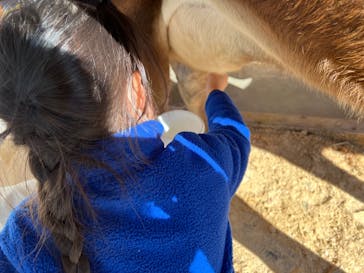 まかいの牧場に投稿された画像（2021/12/6）