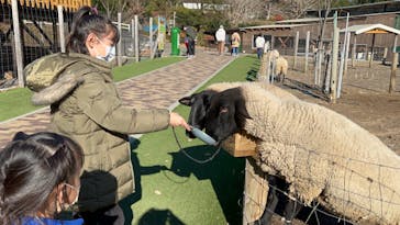 まかいの牧場に投稿された画像（2021/12/6）