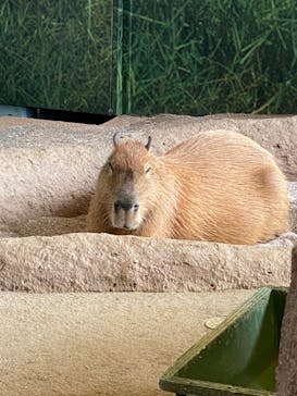 新江ノ島水族館に投稿された画像（2021/12/6）