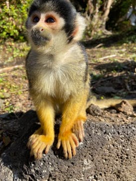 伊豆シャボテン動物公園に投稿された画像（2021/12/6）