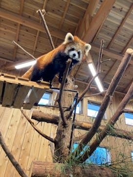 伊豆シャボテン動物公園に投稿された画像（2021/12/6）